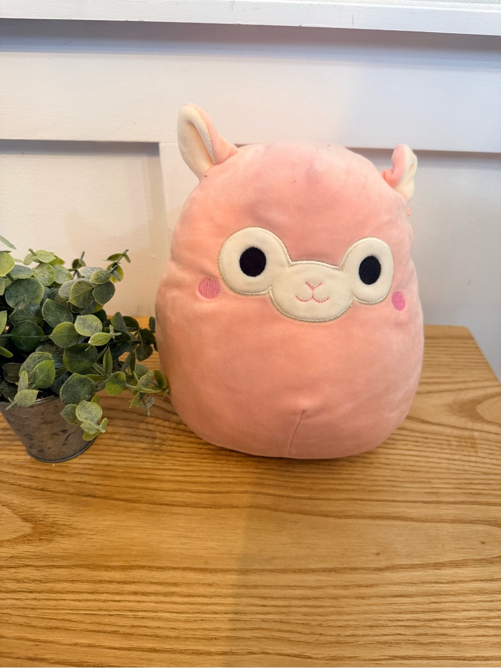🌿10/$25 • Squishmallow Mauve the Alpaca Plush